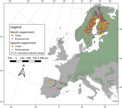 Managing Uncertainty in Scots Pine Range-Wide Adaptation Under Climate Change
